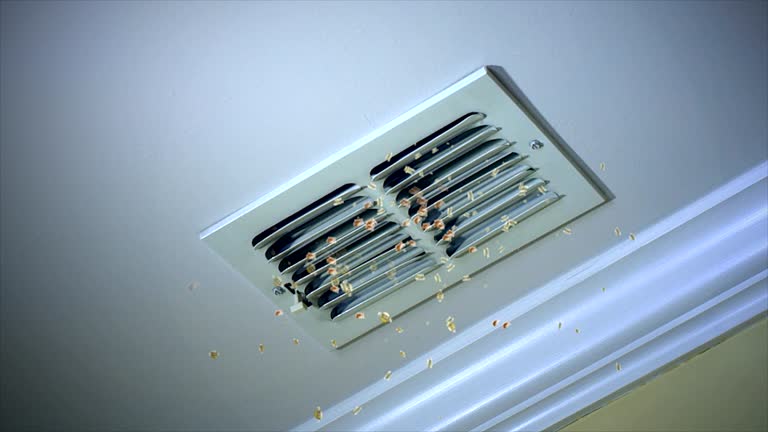 Best Affordable HVAC Duct Cleaning  in Sandy Springs, GA
