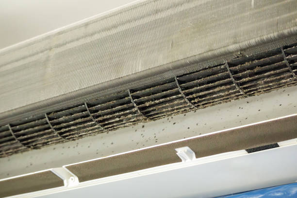 Best Affordable Duct Cleaning Services  in Sandy Springs, GA